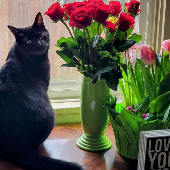 Meet your Posher, Emily - Picture 2 of 14